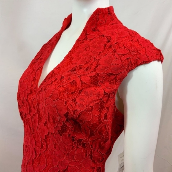 ALEXIA ADMOR | Lace Sheath 10/12 - Picture 3 of 8
